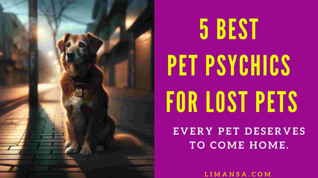 best pet psychics for lost pets