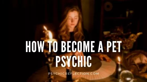 How To Become A Pet Psychic